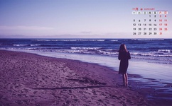 粉红顽皮豹图片